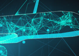 Position Paper IFALPA: Transparency in Safety Management Systems